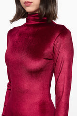 High neck wine velvet gown