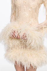 Mini dress in vanilla with feather applications